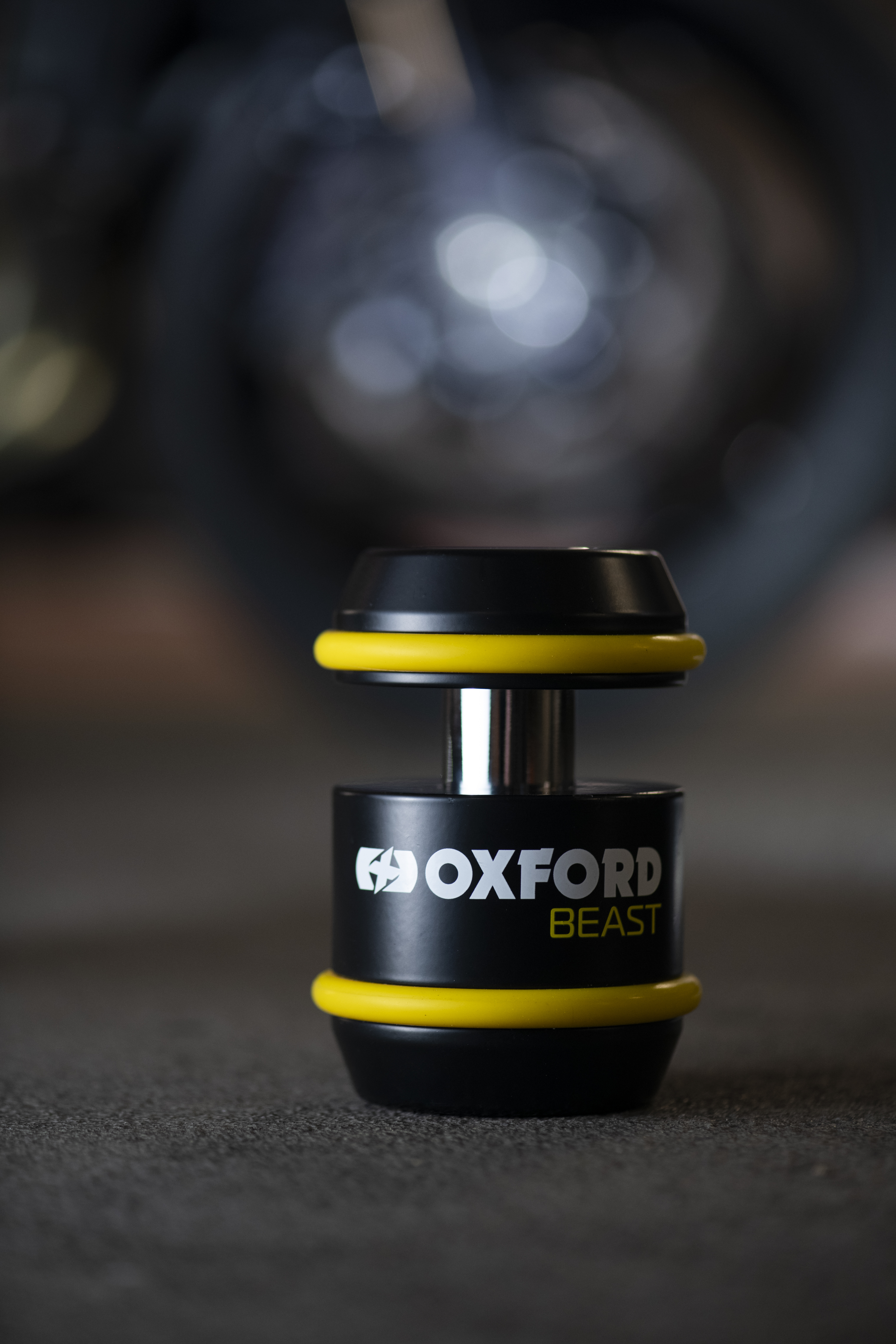 LK120 Oxford Beast Lock (45)